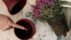 Dlaczego ten otwór na dnie doniczki jest tak ważny dla zdrowia roślin?